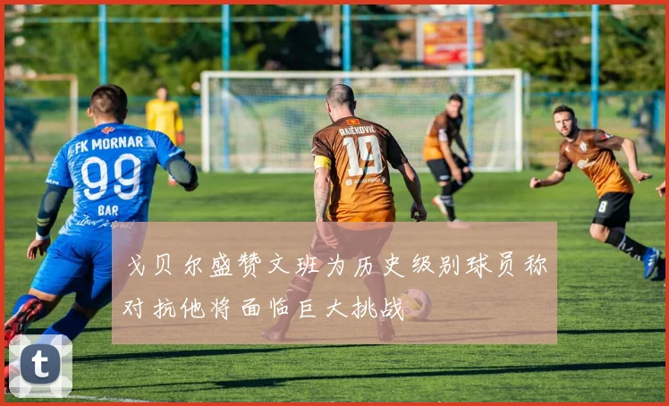 戈贝尔盛赞文班为历史级别球员称对抗他将面临巨大挑战